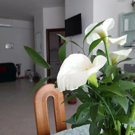 Ferienwohnung Il Girasole Caserta Exterior foto