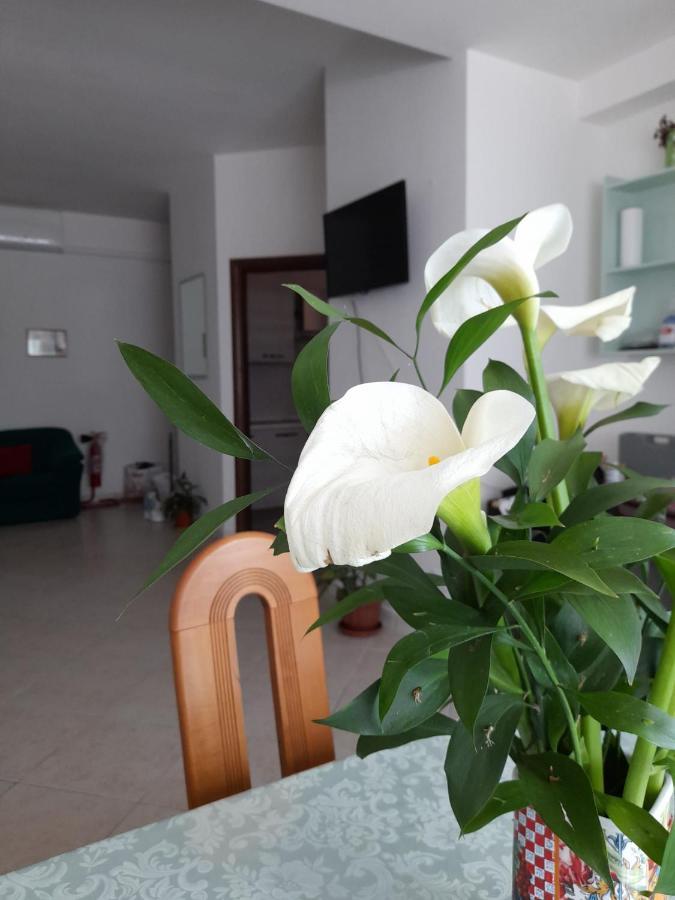 Apartment Il Girasole